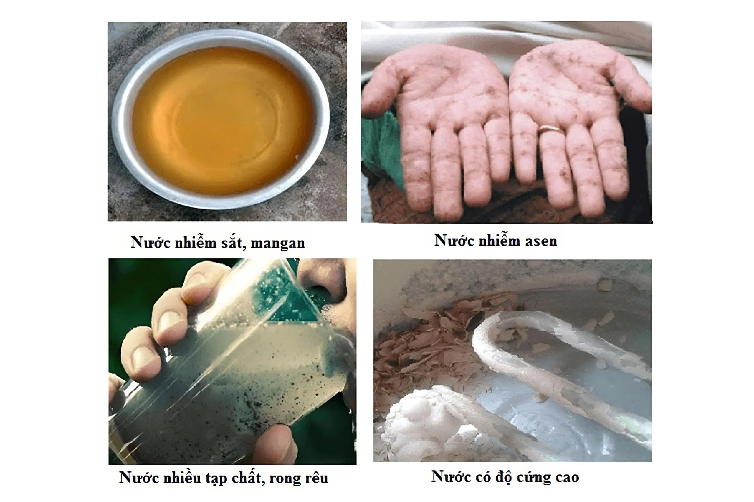 hậu quả của ô nhiễm nguồn nước