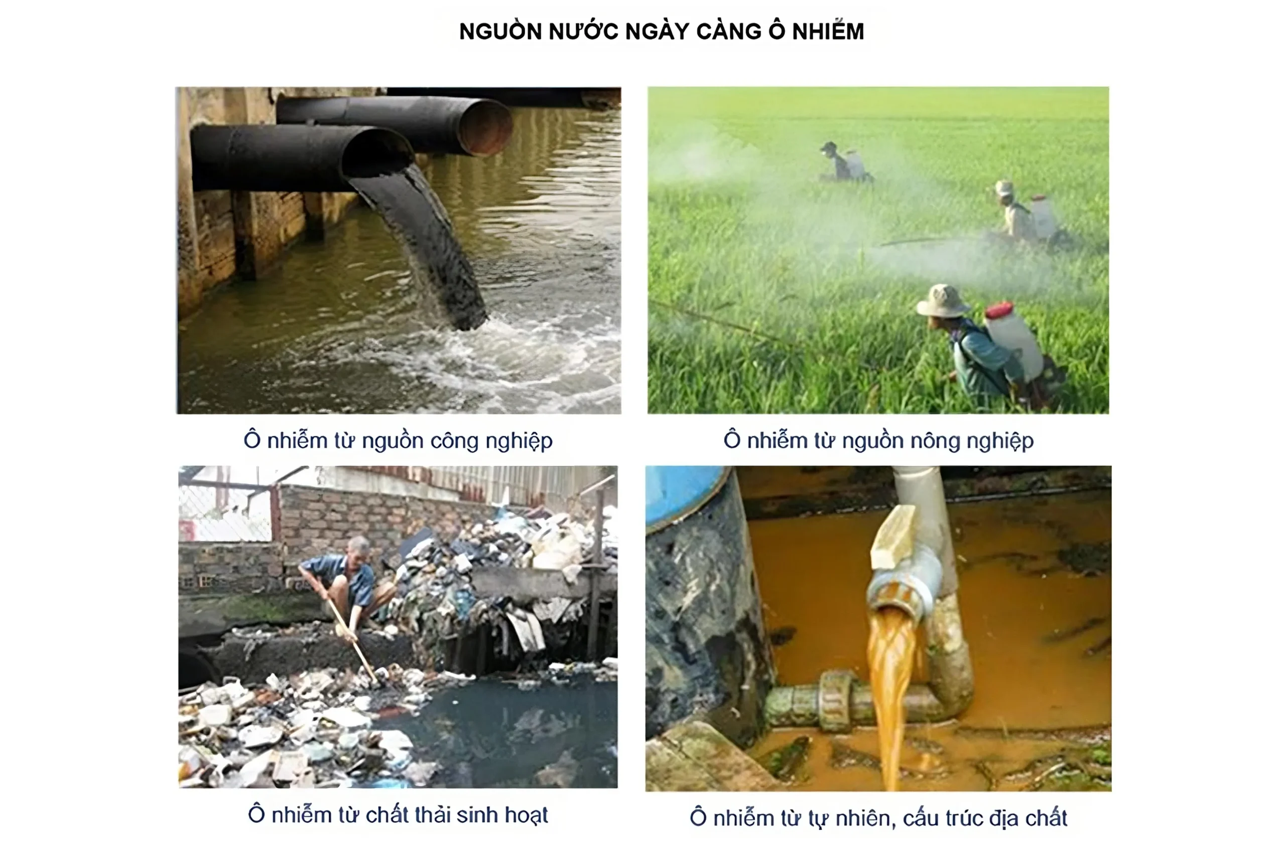 Nguyên nhân ô nhiễm nguồn nước
