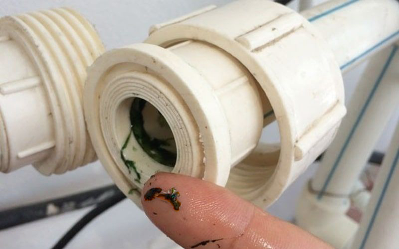 vệ sinh đường ống nước Loại bỏ mọi cặn bẩn